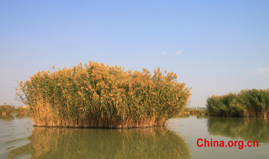 Sand Lake, one of the 'Top 10 Ningxia attractions' by China.org.cn.