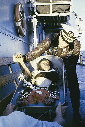 Monkeys,one of the &apos;Top 10 animal astronauts in space&apos; by China.org.cn.
