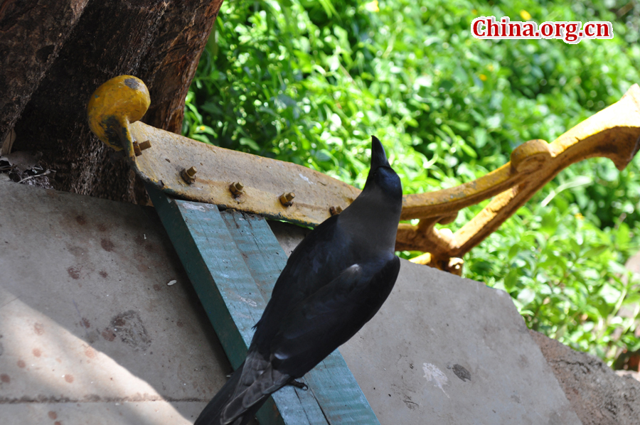 Kamala Nehru Park is a park in India covering an area of 4,000 square feet. Located at the top of Mumbai's Malabar Hill, it is named after Kamala Nehru, the wife of India's first Prime Minister Jawaharlal Nehru. 