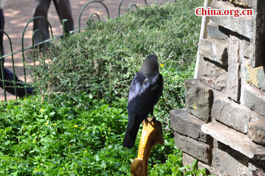 Kamala Nehru Park is a park in India covering an area of 4,000 square feet. Located at the top of Mumbai's Malabar Hill, it is named after Kamala Nehru, the wife of India's first Prime Minister Jawaharlal Nehru. 