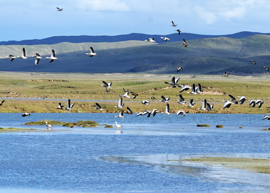 Sanjiangyuan National Nature Reserve, one of the &apos;top 10 attractions in Qinghai, China&apos; by China.org.cn.