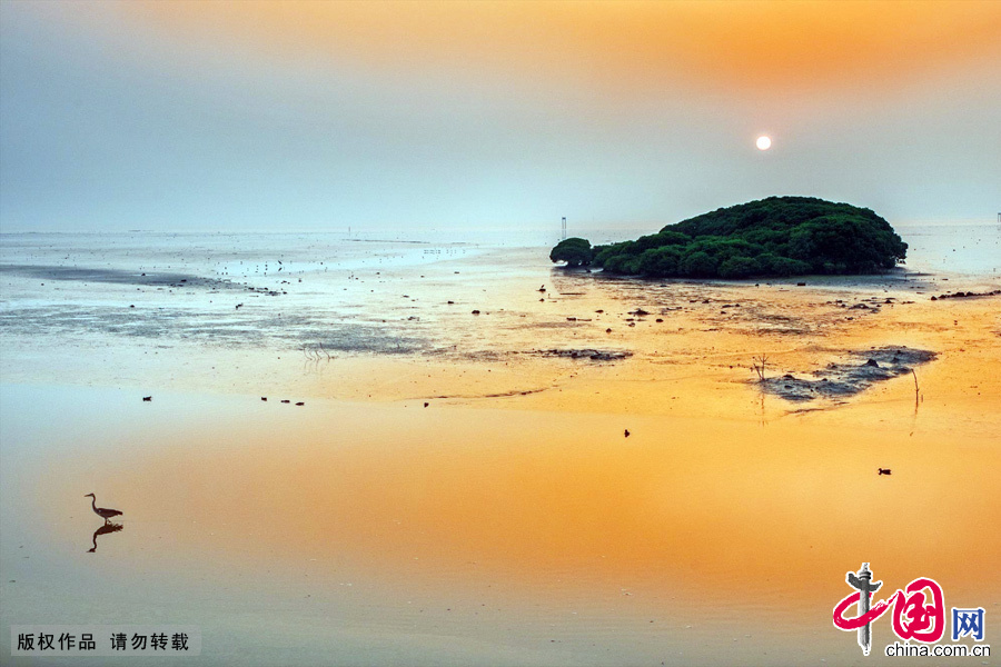 Located in Shenzhen Bay near the southern end of Futian district, Mangrove National Park was set up as a provincial reserve in October 1984, and was recognized as a state natural reserve by the State Council in 1988. 