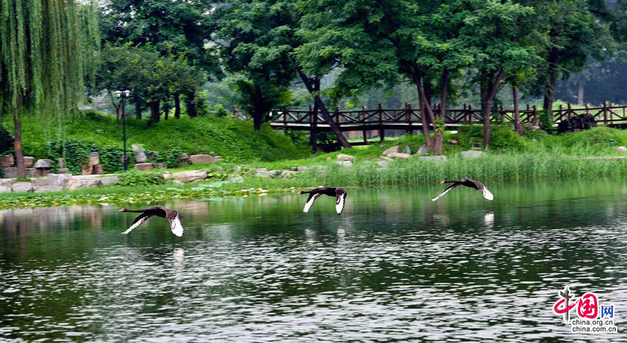 Yuanmingyuan, which extolled as the 'Garden of Gardens', was used to be an imperial summer palace for imperial family. 