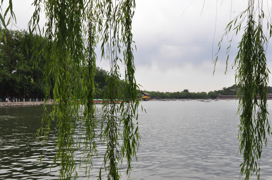 Located to the west of the Forbidden City and Jingshan Park, Beihai (literally the Northern Sea) Park is one of the oldest, largest and best-preserved ancient imperial gardens in China. It was the former palace of emperors for successive dynasties. The park covers an area of 68 hectares, half of which is covered by a lake.