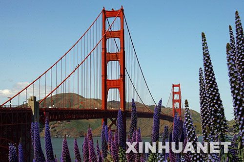 Golden Gate Bridge, one of the &apos;Top 25 landmarks in the United States&apos; by China.org.cn