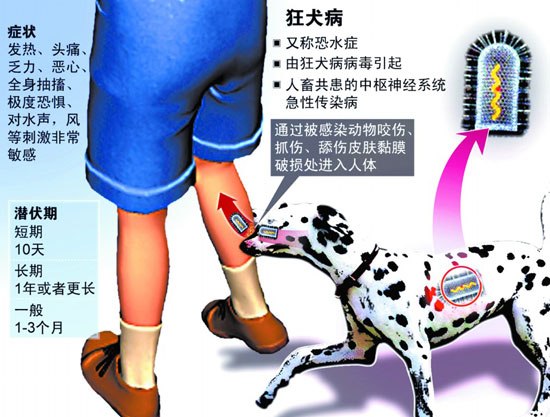 狂犬病（Rabies）[tupian.hudong.com]  