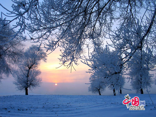 Wusong Island, one of the &apos;Top 10 ice and snow wonderlands in China&apos; by China.org.cn
