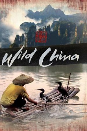 《美丽中国》（2008）  