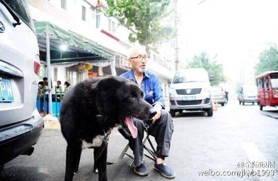 老人王俊武和他的爱犬二福 [Weibo.com]