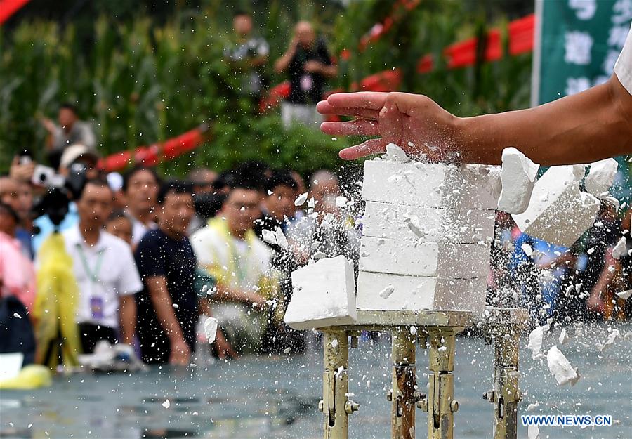 A contestant performs in the Iron Palm Kungfu category during a martial arts competition held in Shaolin Temple, central China&apos;s Henan province, July 30, 2017. The competition features four traditional events of Iron Palm Kungfu, Stone Lock Kungfu, Two-Finger Zen and Flying Knife Kungfu. (Xinhua/Li An)