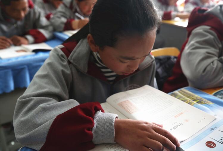 Zhaxi Meila, a second-year student in the Second Lhasa-Nagchu High School, the largest high school in Tibet Autonomous Region, reads her Chinese textbook. [Photo / China.org.cn]