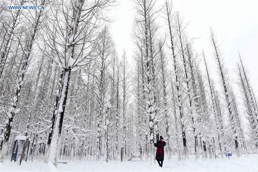 A tourist visits the snow-covered Longhu Park in Huainan City, east China's Anhui province, Jan. 5, 2018, on the occasion of "Xiaohan" (Lesser Cold), the 23rd of the 24 solar terms. [Photo/Xinhua]