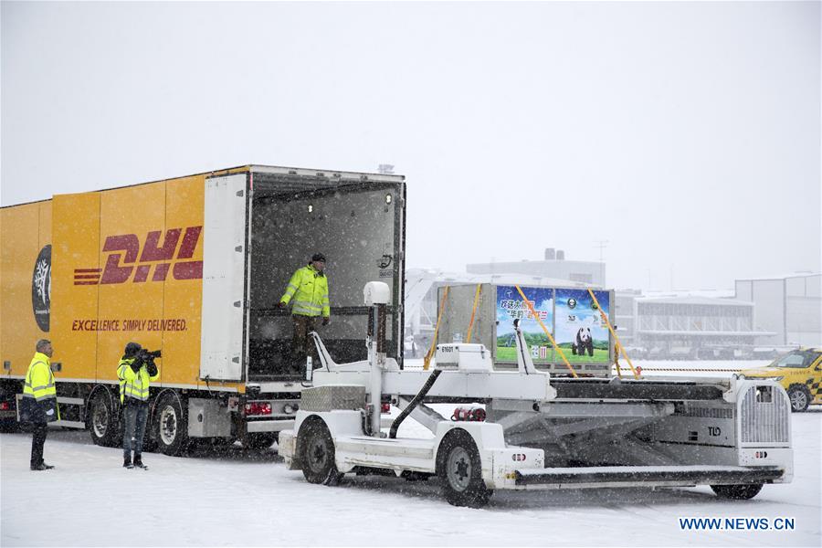 Workers load the boxes carrying a pair of Chinese giant pandas who have just arrived in Helsinki, Finland, on January 18, 2018. 