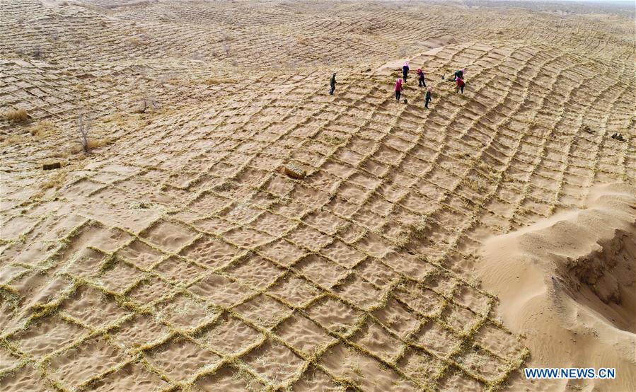 People fight against desertification in NW China's Gansu- China.org.cn