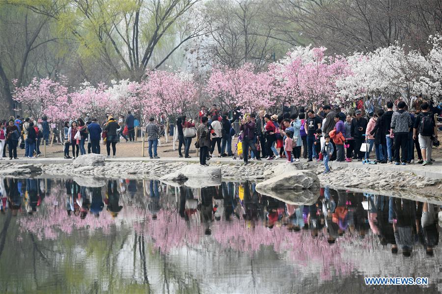Resultado de imagem para yuyuantan park beijing