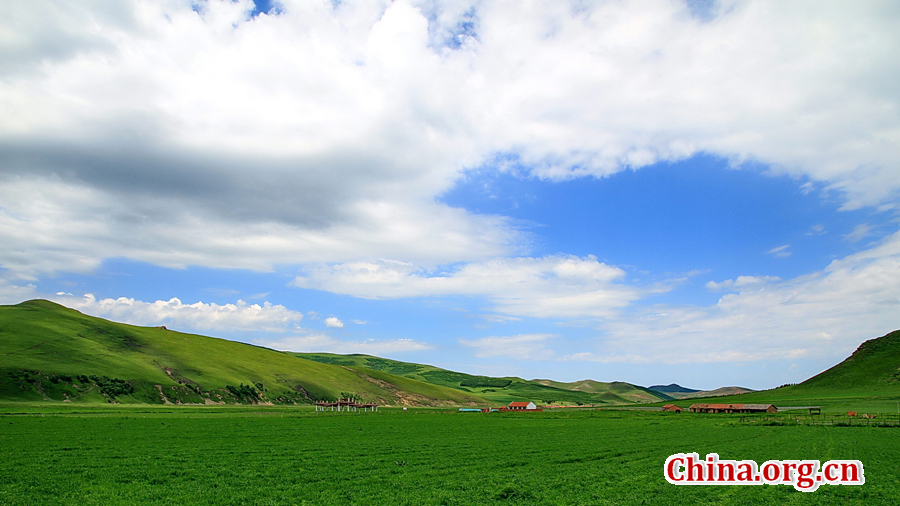 The special climate and geographical position at the junction of the North China Plain and the Inner Mongolia Grasslands give Bashang Grassland its unique natural landscapes and make it a popular destination for tourists and photographers.