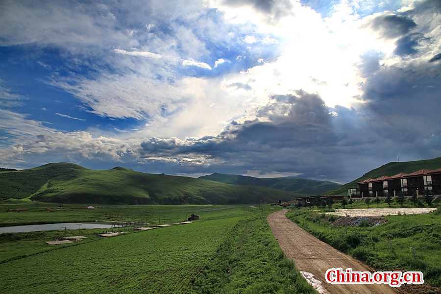 The special climate and geographical position at the junction of the North China Plain and the Inner Mongolia Grasslands give Bashang Grassland its unique natural landscapes and make it a popular destination for tourists and photographers.