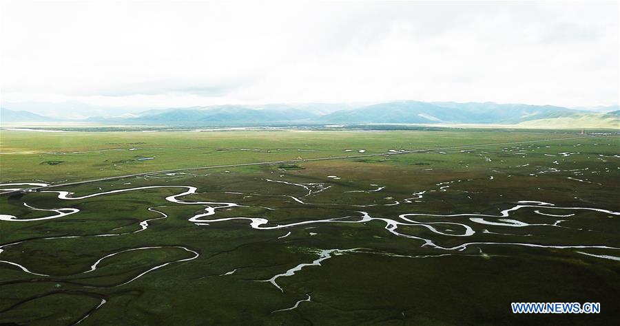 Scenery Of Awancang Wetland In Gannan Tibetan Autonomous Prefecture ...