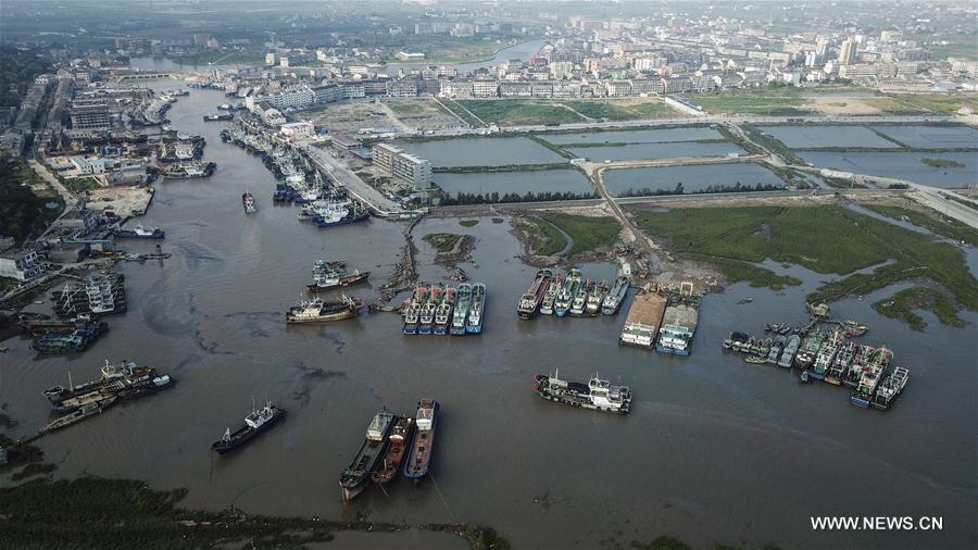 Typhoon Yagi makes landfall in Zhejiang