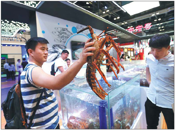 A visitor holds a lobster taken from a water tank at the Hema-branded seafood section of Alibaba's exhibition area at the ongoing China Beijing International Fair for Trade in Services. [Photo/China Daily]