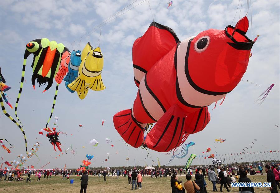 36th Weifang Int l Kite Festival Kicks Off In E China s Shandong China 36th Weifang Int l Kite Festival Kicks Off In E China s Shandong China