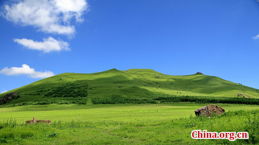 The special climate and geographical position at the junction of the North China Plain and the Inner Mongolia Grasslands give Bashang Grassland its unique natural landscapes and make it a popular destination for tourists and photographers.