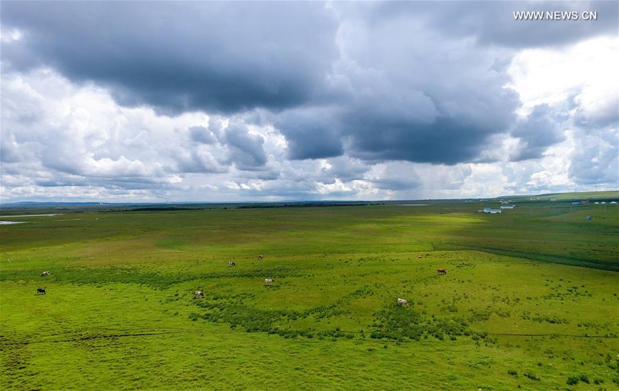 Scenery Of Hulun Buir Grasslands In North China S Inner Mongolia Cn