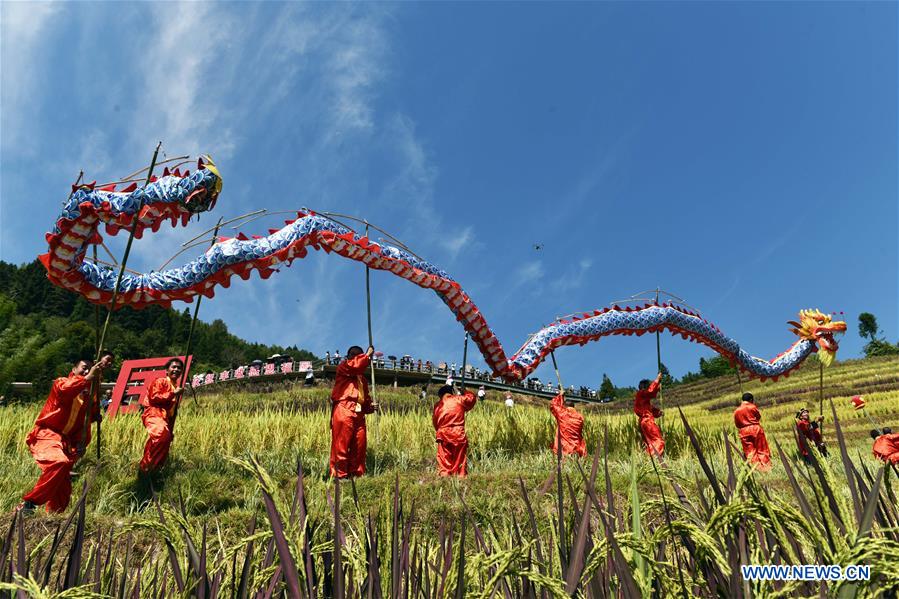 Farmers across China celebrate harvest festival