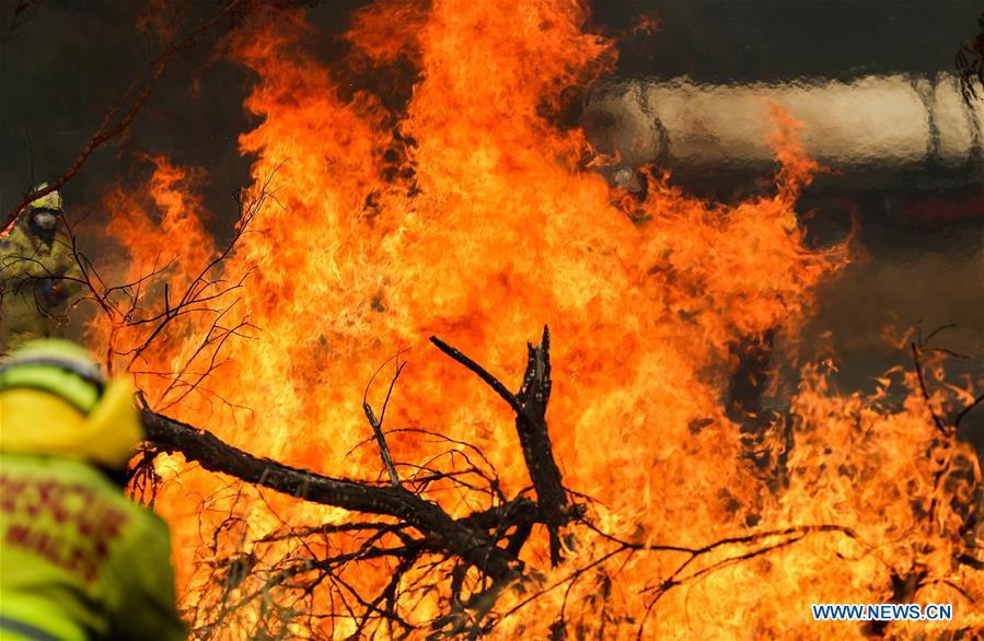 Slikovni rezultat za Australian government launches National Bushfire Recovery Agency