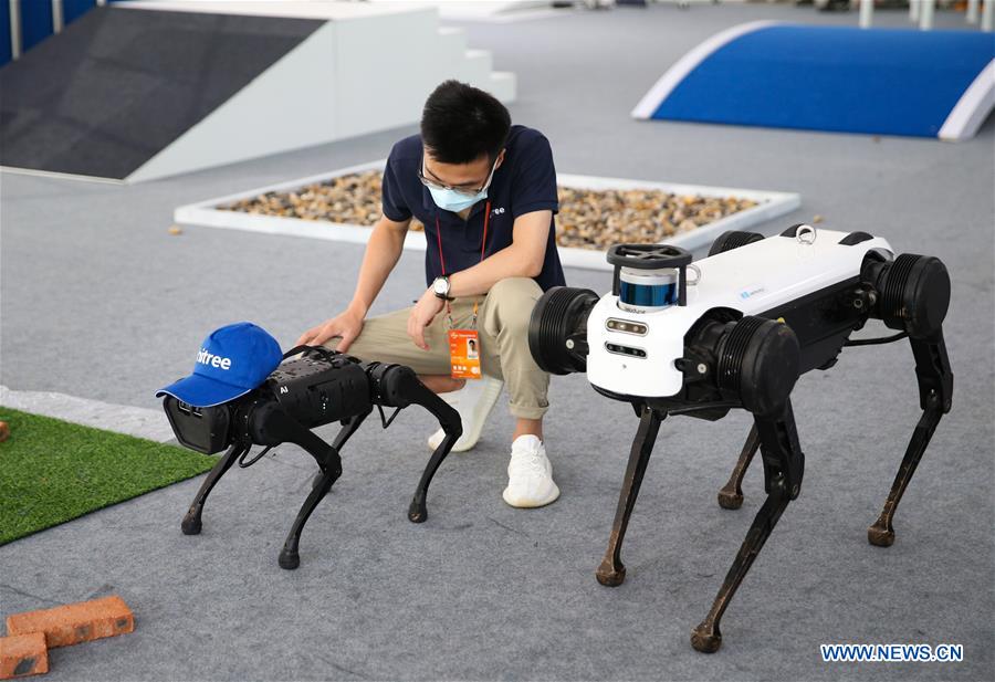 Two Quadruped Robots Stage Performance After Repair At CIFTIS- China.org.cn