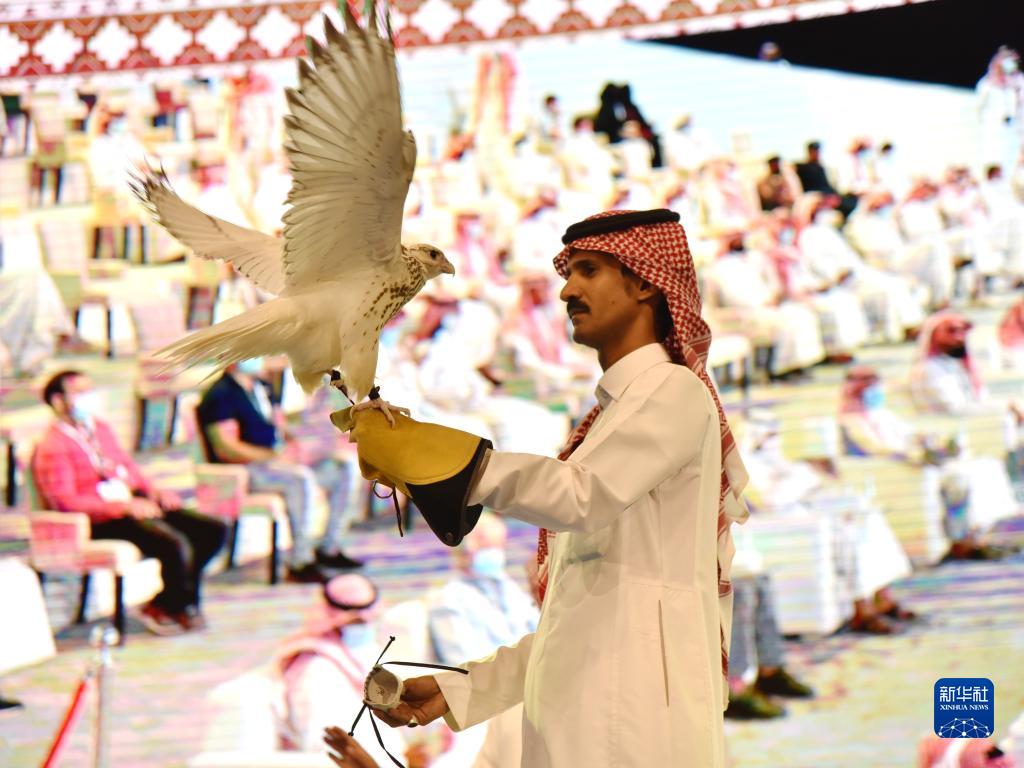 俄鸟类学家：普京赠送沙特和阿联酋的两只猎鹰为“钻石级” - 2019年10月16日, 俄罗斯卫星通讯社