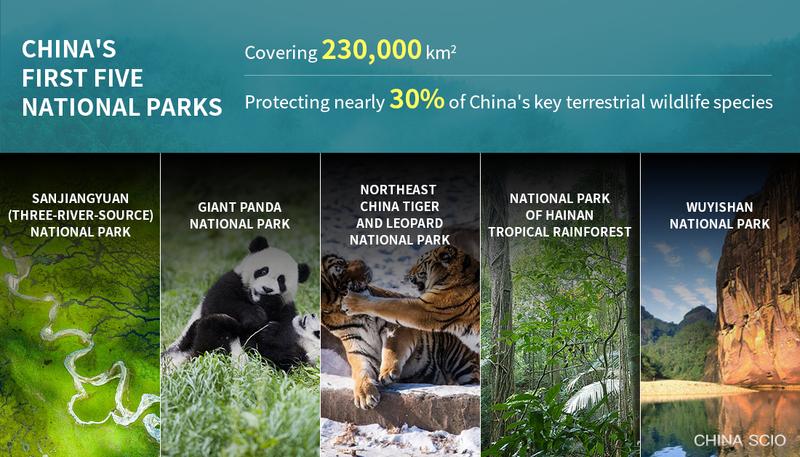 Chinas First Group Of National Parks Covers 230000 Square Kilometers