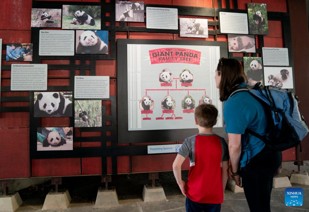 Smithsonian's National Zoo kicks off celebration of giant panda program