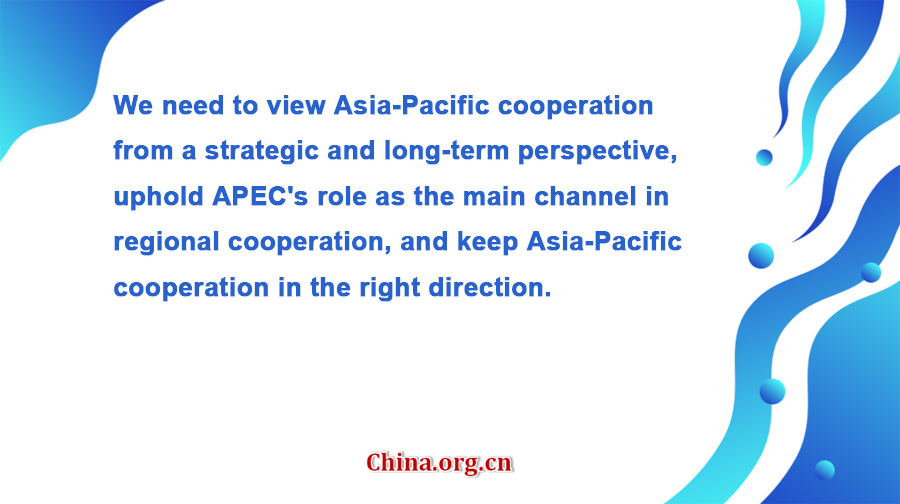 Key Quotes From Xi Jinping's Speech At 29th APEC Economic Leaders ...