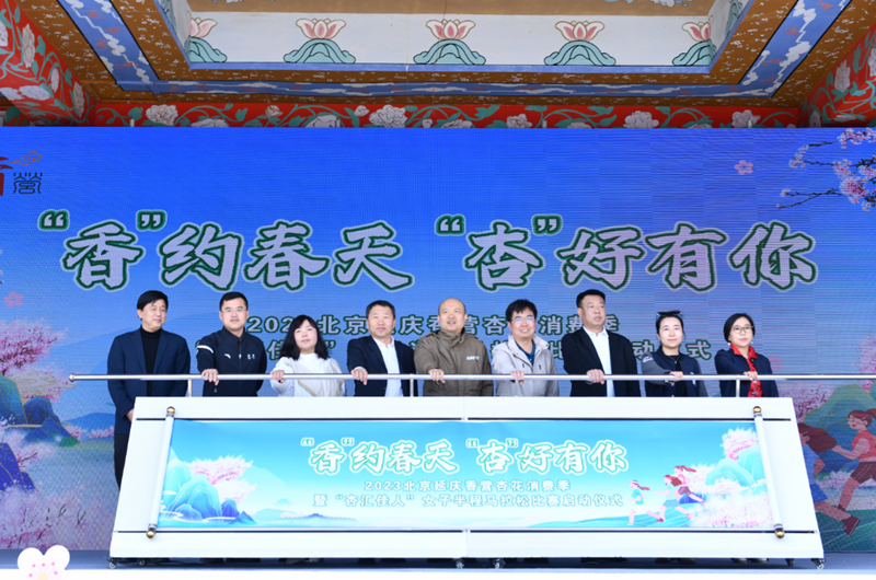 Apricot flower festival opens in Beijing's Yanqing district