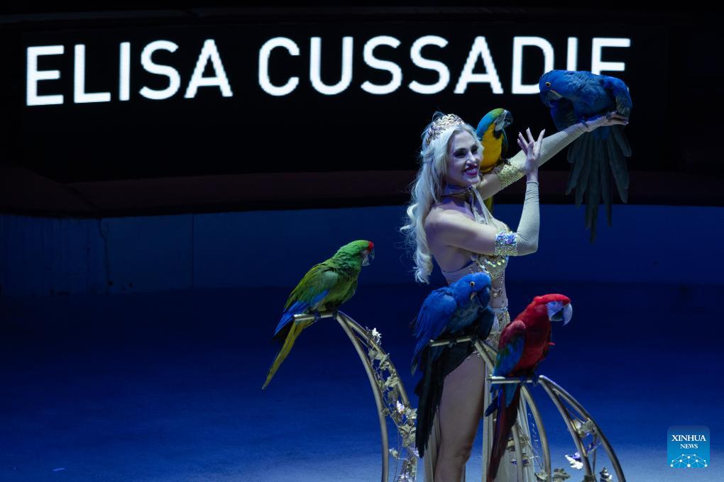 15th Budapest International Circus Festival in Hungary