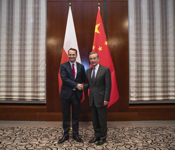 China to enhance mutually beneficial cooperation with Poland: FM ...