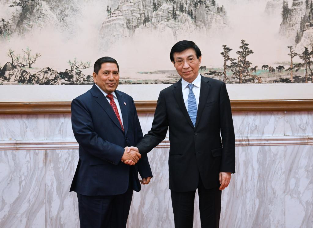 China's top political advisor meets Nepal's FM
