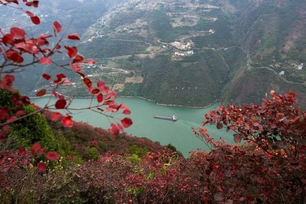 China's Yangtze River sees improved water quality in 2023