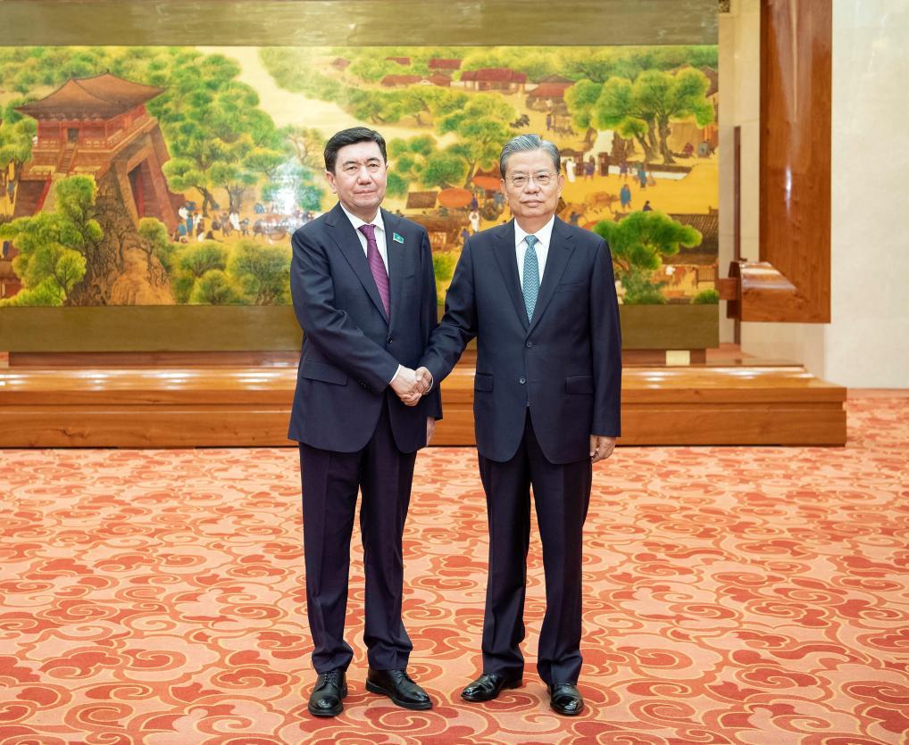 China's top legislator holds talks with Kazakhstan official