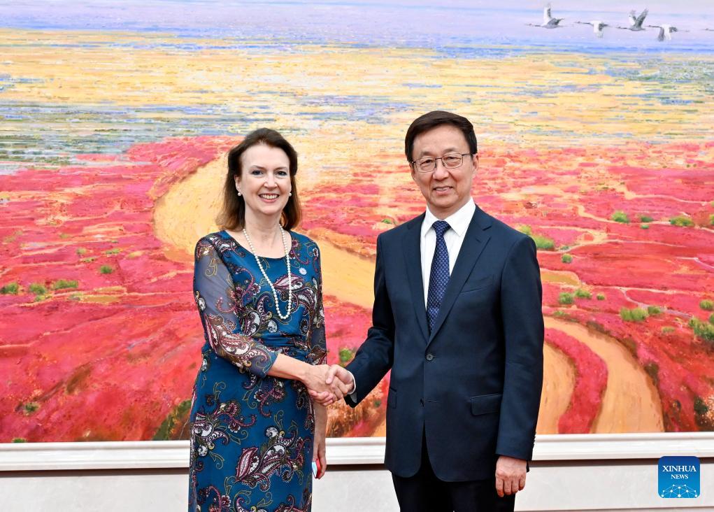 Chinese vice president meets Argentine foreign minister