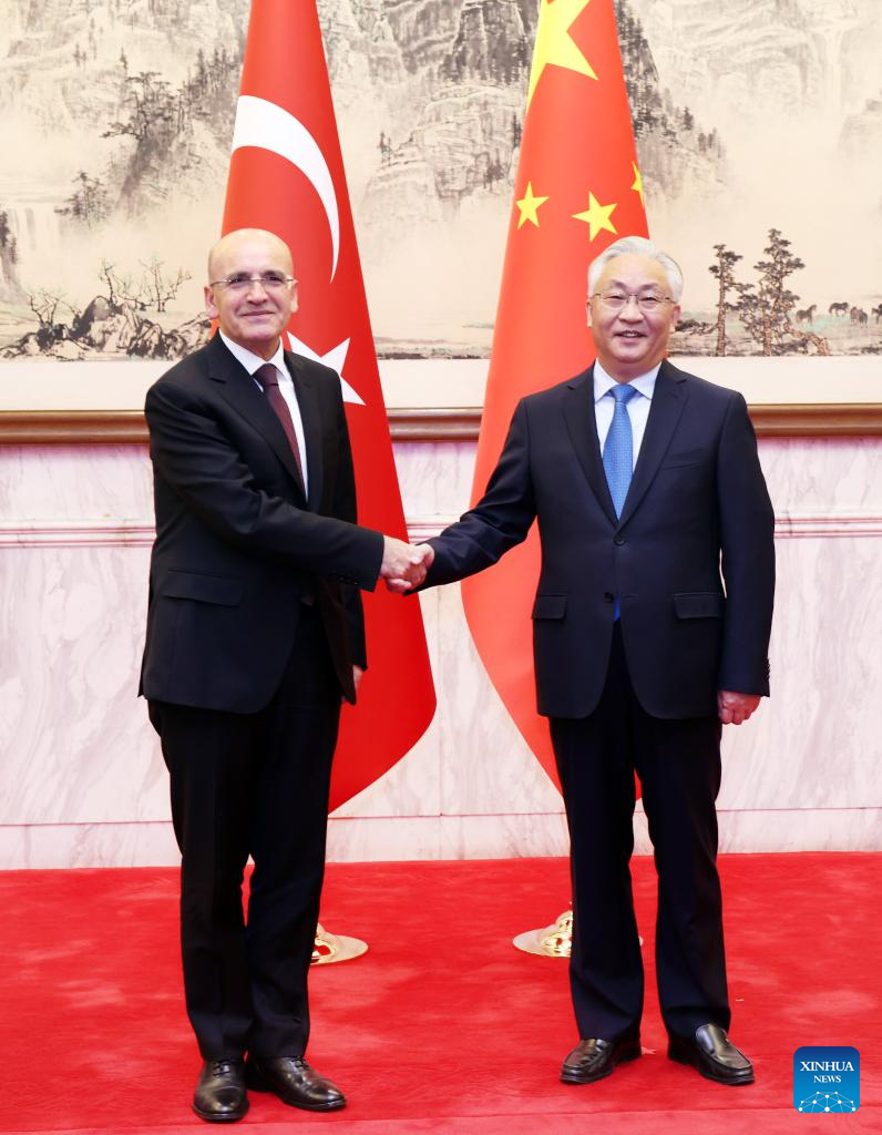 China-Türkiye Intergovernmental Cooperation Committee Meeting Highlights Stability and Cooperation