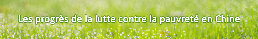 ÉCONOMIE _ French.org.cn