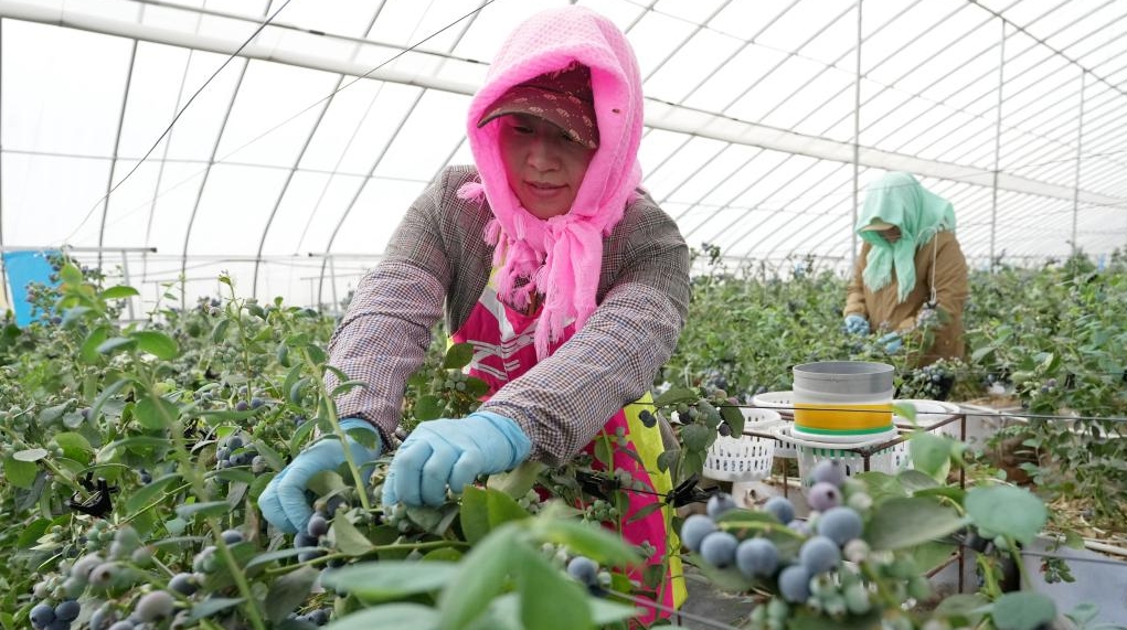 german.china.org.cn