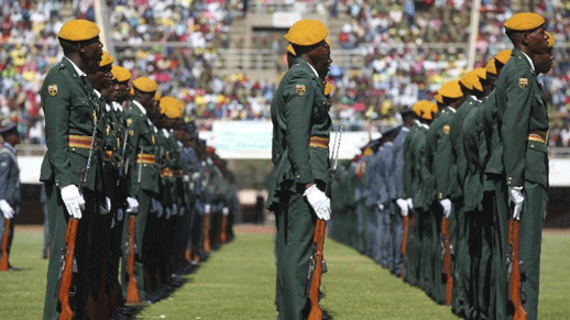 Zimbabwe celebrates Defence Forces Day in Harare- China.org.cn