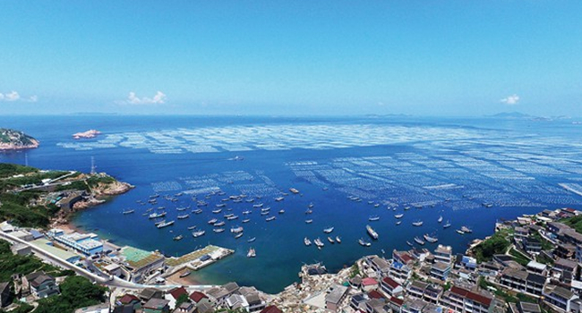 中国海洋——中国海洋外宣第一官网 海洋门户网站