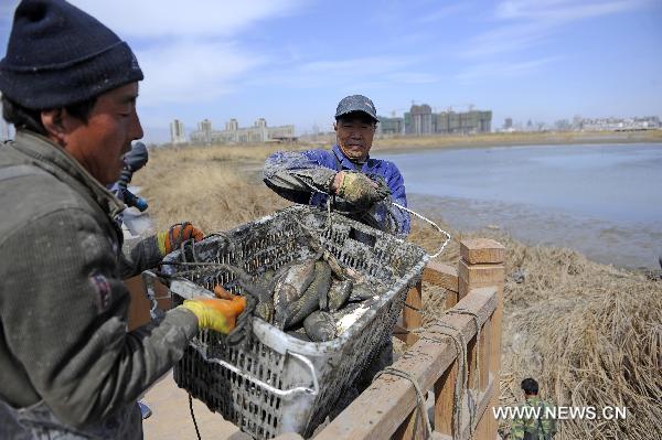 Drought hits national wetland park in NW China - China.org.cn