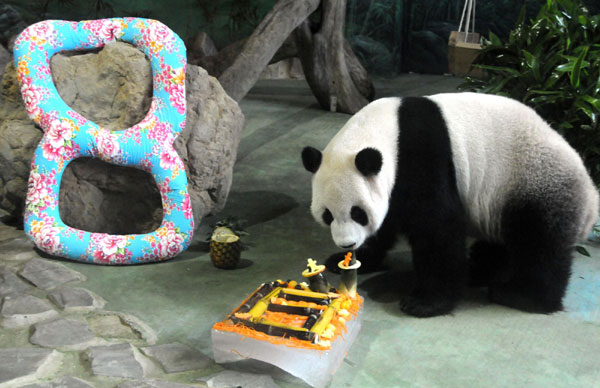 Pandas celebrate 8th birthday in Taipei - China.org.cn