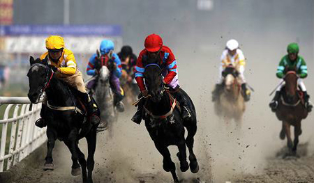 China Equestrian Festival to open in Chengdu - China.org.cn