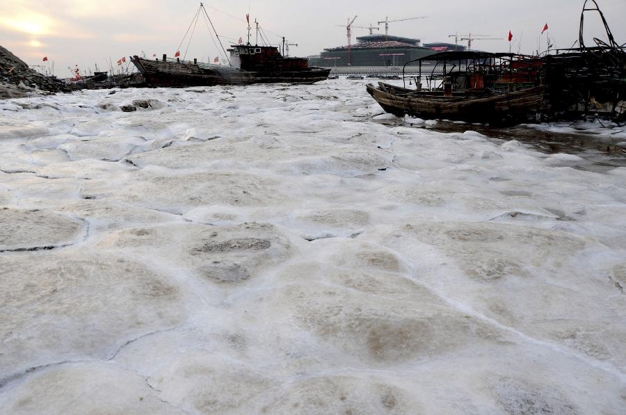 Cold waves bring sea ice in coastal provinces - China.org.cn